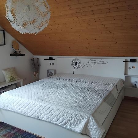דודרשטאט Ferienwohnung Monteurwohnung Pusteblume מראה חיצוני תמונה